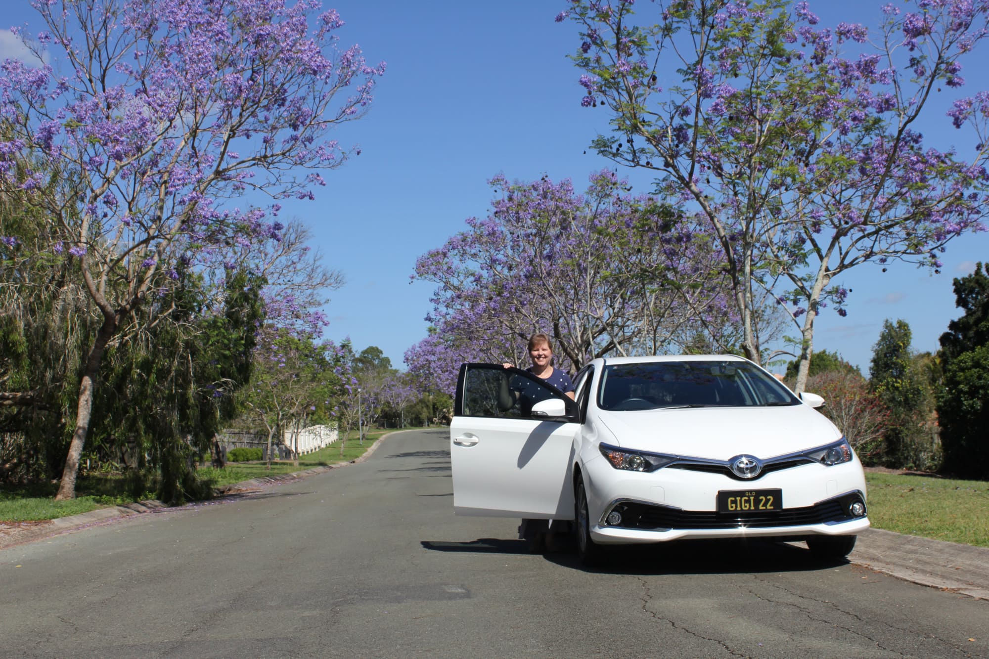 Gem Driver Training